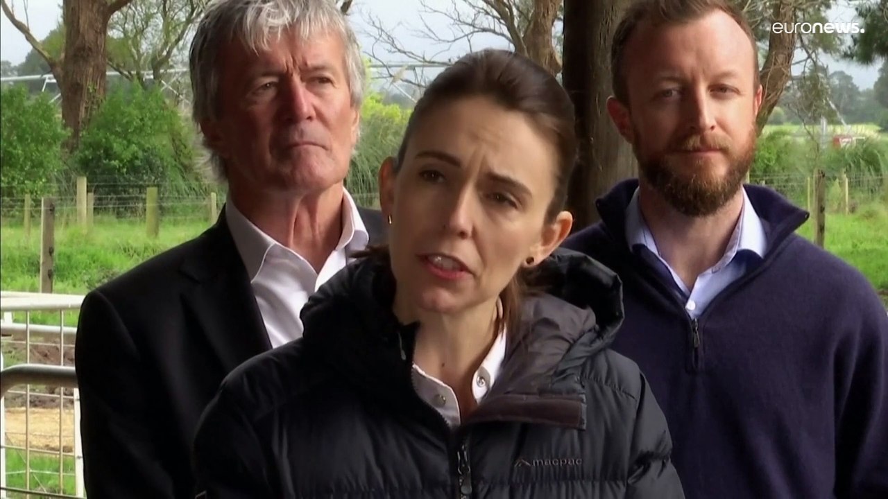 Neuseeland: 'Furz'-Steuer auf Schaf und Kuh