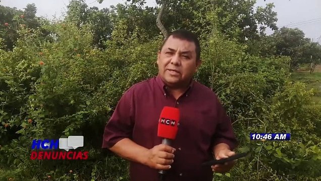 ¡Pudo ser tragedia! Tres heridos deja brutal colisión entre “rapidito” y camión en Quimistán