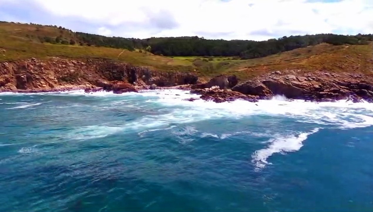 BOLBORETAS NO TEMPO 047 - OS ANCESTROS (1m 51s)