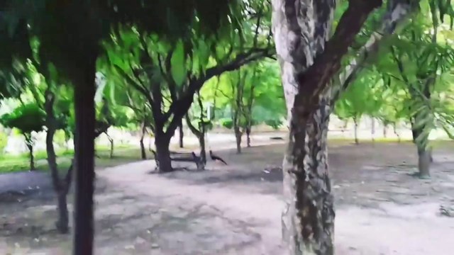 Smriti Upvan lucknow Tourist Places ! लखनऊ पार्क उत्तर प्रदेश