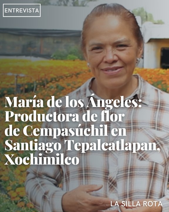 Invernadero de flores de Cempasúchil en Xochimilco