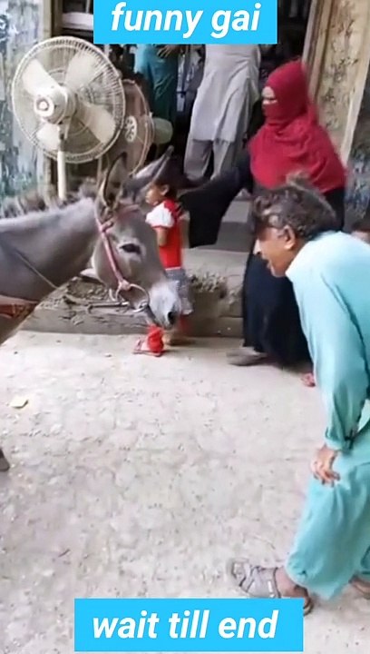 VIDEO_38a2bf2d-2a1e-44eb-828b-6ded74818d4e