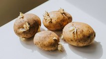 Can You Safely Eat Sprouted Potatoes?