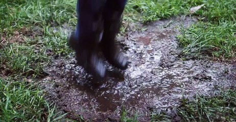 VICSES: bag it, block it, lift it, leave | October 12, 2022 | Bendigo Advertiser