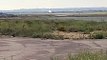 Boeing cargo perde ruota dopo il decollo da Grottaglie (Taranto)