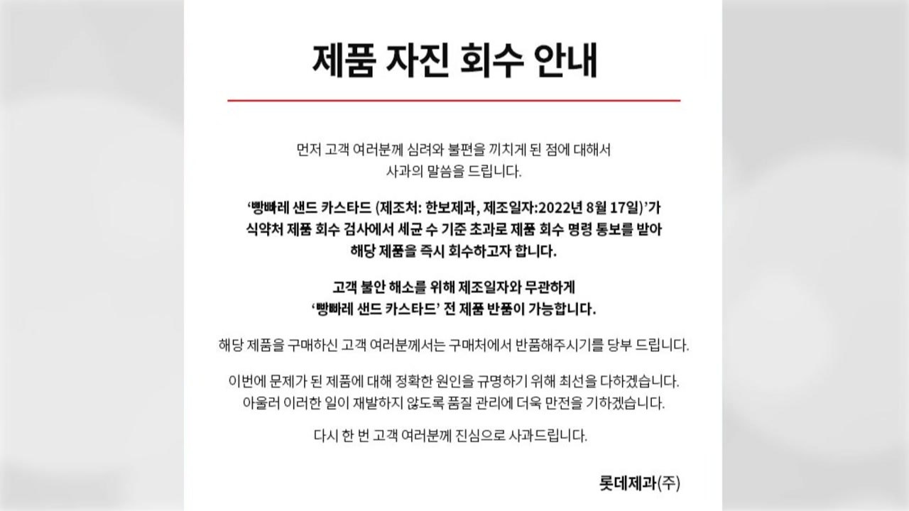 롯데제과, 빵빠레 샌드 카스타드 전량 회수..."세균 수 기준치 초과" / YTN