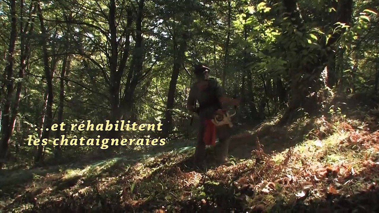 "Le temps des châtaignes" Un film de Jean Samouillan - Bande-annonce