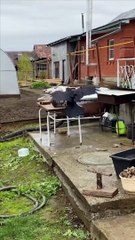 When Your Assistant is a Well Trained Raven