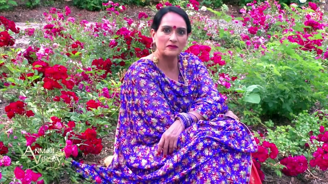 Phulkari - Punjabi Phulkari