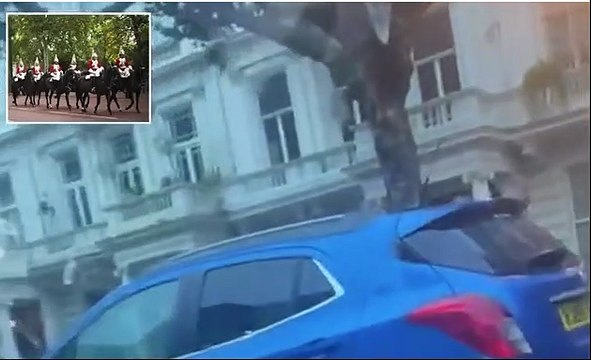 Having a mare! Bizarre moment three Household Cavalry horses gallop through London traffic during rush hour