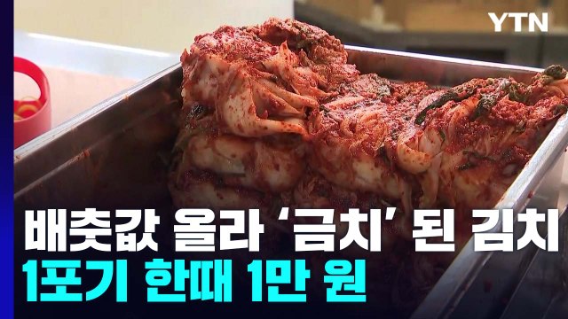 배춧값 급등에 '금치' 된 김치... 포장김치 판매량 급증 / YTN