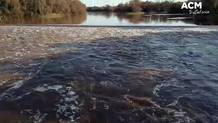 Flooding at Nyngan October 2022 _ 12.10.22_ Daily Liberal