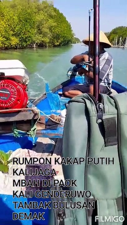 mancing baramundi