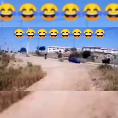 Funniest Animals  - Best Of The 2020 Funny Animal Videos  - Cutest Animals Ever (1)