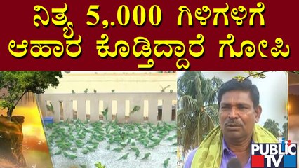 News Cafe | Fish Gopi Is Providing Food For Over 5,000 Parrots Daily | Kolar | Public TV