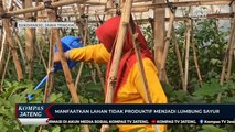 Pemerintah Desa Pondok Manfaatkan Lahan Tidak Produktif Menjadi Lumbung Sayur
