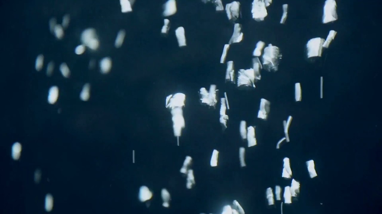 P-TET syllabus 2022: Important Updates for the Primary School TET Test  || Primary TET preparation | P-TET syllabus | P-TET suggestions | #pratikroy #dailymotion