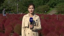 [날씨] 예년 가을 날씨 회복...내일도 쾌청하고 선선 / YTN