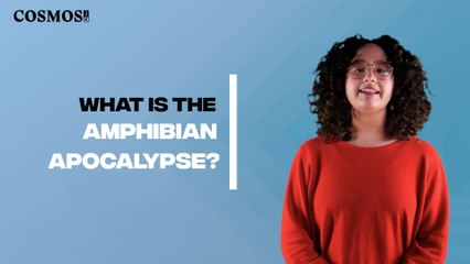 What is the 'frog apocalypse'? | October 12, 2022 | Cosmos Magazine