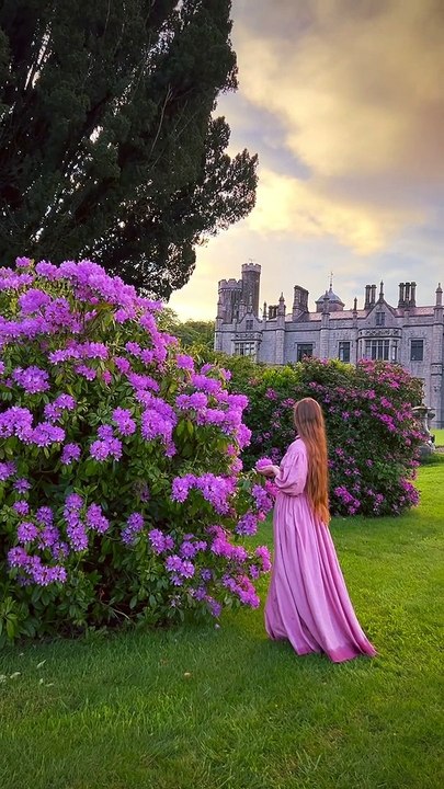 Beauty in bloom 
