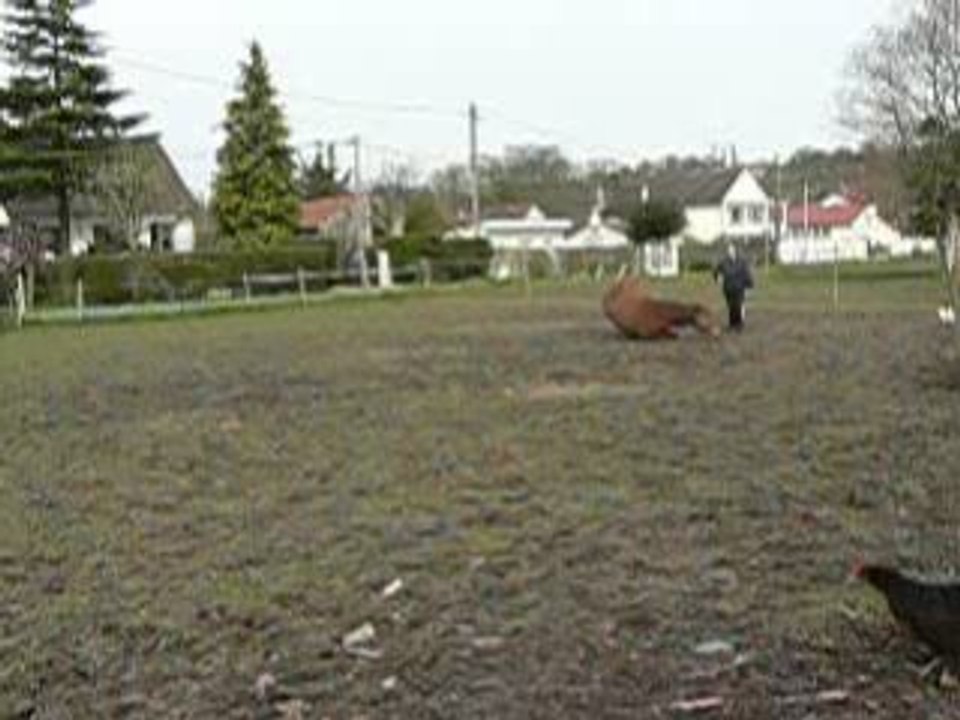 pas esp, cabré, couché 15 mars 08