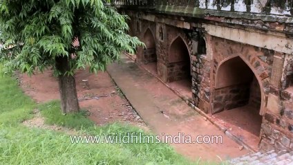 Télécharger la video: Alai Darwaza _ Qutub Minar, the entrance to the Quwwat-ul-Islam Mosque