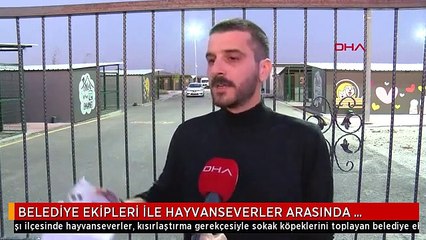 BELEDİYE EKİPLERİ İLE HAYVANSEVERLER ARASINDA 'KÖPEK TOPLAMA' GERGİNLİĞİ
