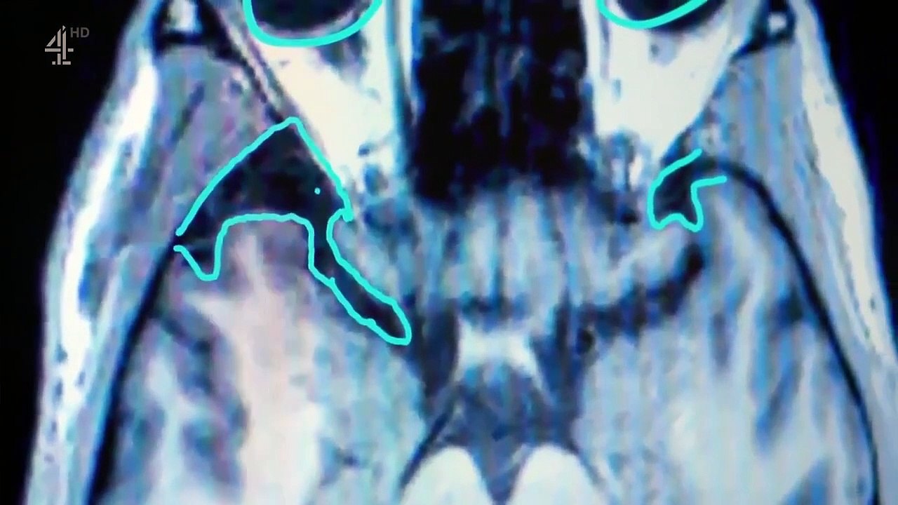 What Makes A Mur-'derer - Se1 - Ep02 HD Watch HD Deutsch