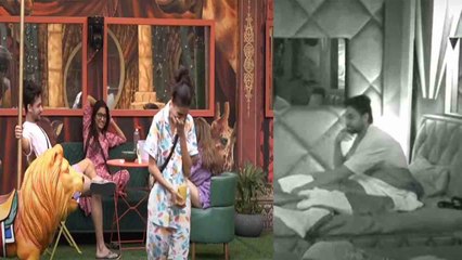 Bigg Boss 16 ; Shalin का बुरा हाल करके Priyanka की रुक नही रही हंसी; Ankit भी खुश |*TV