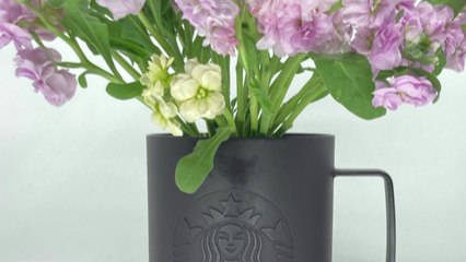 [기업] 스타벅스, 커피 찌꺼기로 만든 '커피박 화분' 제공 / YTN