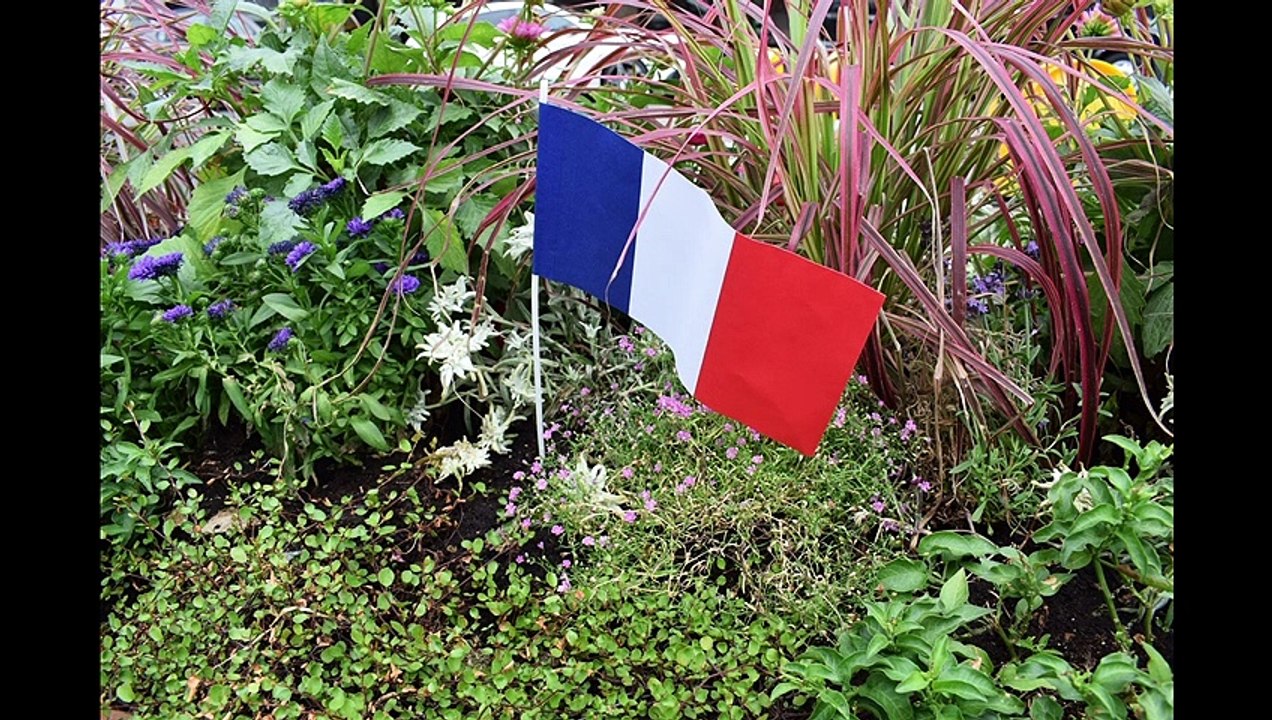 Französicher Markt 2018