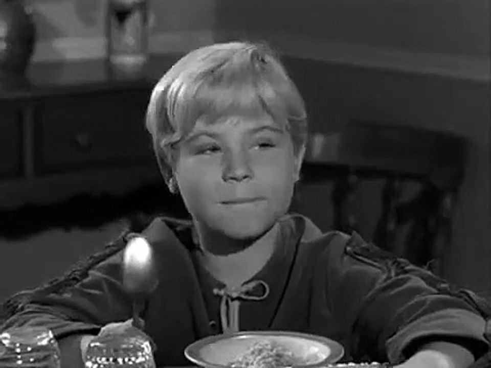 My Three Sons - Se1 - Ep08 HD Watch HD Deutsch