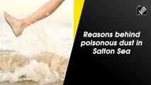 Why poisonous dust is being formed in Salton Sea