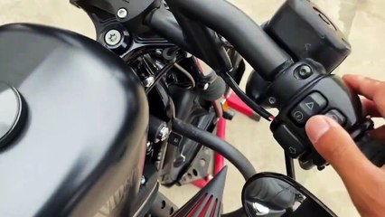 Harley Davidson Sportster XL883N PURE SOUND