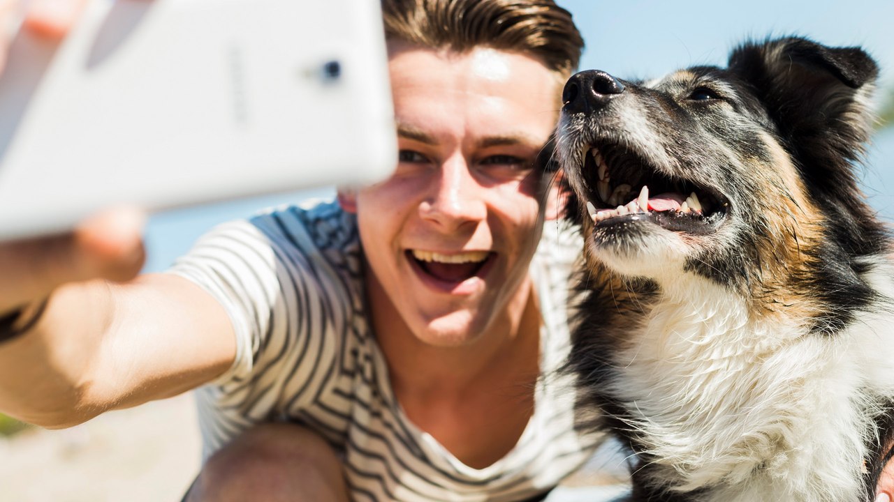 Hunde-Studie: Das verrät die Wahl der Hunderasse über deinen Charakter