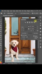 How to use Clone Stamp Tool in Photoshop