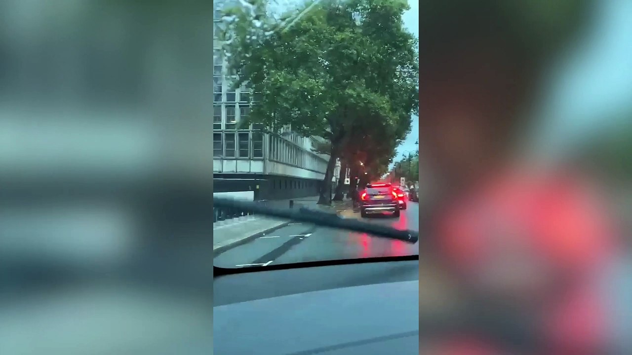 Bizarre footage shows three escaped horses galloping through heavy traffic in central London