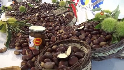 Aydın haber | Aydın'da sezonun ilk kestanesi 250 TL'den alındı