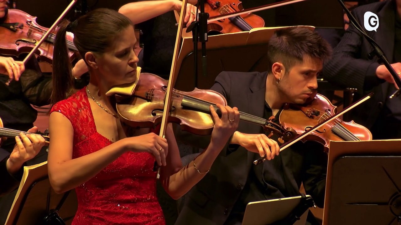 Concert  - DIETER AMMANN