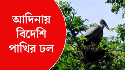 পাখিশুমারির কাজ শুরু হল আদিনা ডিয়ার ফরেস্টে