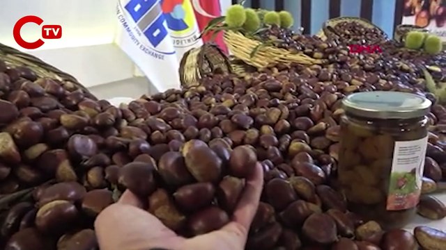 Aydın'da sezonun ilk kestanesi, kilosu 250 liradan alındı