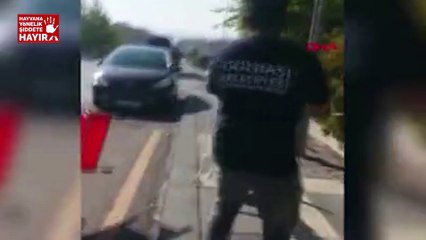 Belediye ekipleri ile hayvanseverler arasında 'köpek toplama' gerginliği