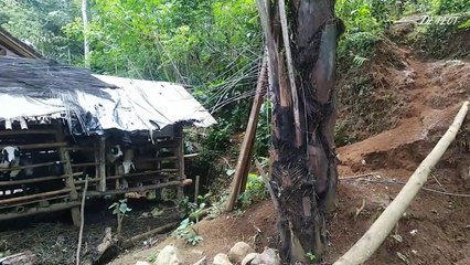 A beautiful and peaceful rural atmosphere