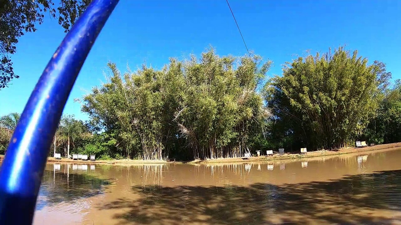 SÓ EMOÇÃO , TILAPÍAS BRUTAS !!!