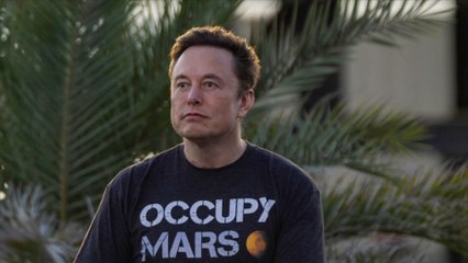 Hat Elon Musk mit Putin über die Ukraine diskutiert?