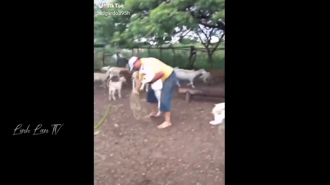 Kompilasi video funny 2022