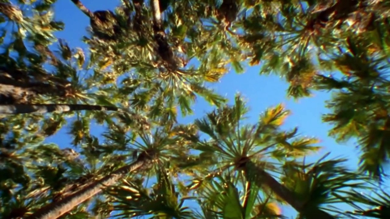 Natures Microworlds 12of13 Australia's Red Centre