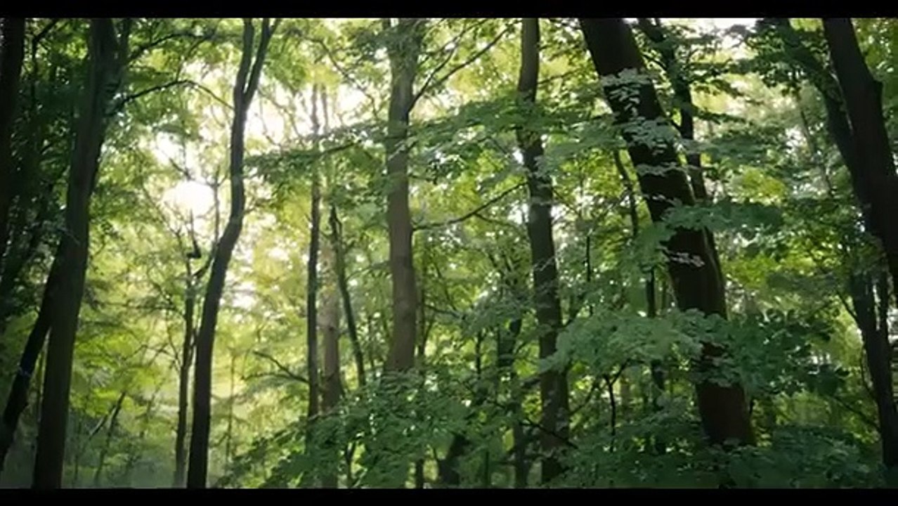 Cursed - Se1 - Ep04 - Festa and Moreli HD Watch HD Deutsch