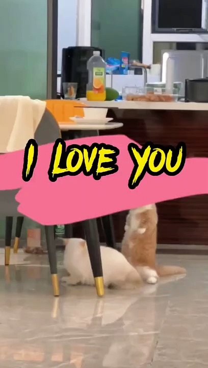 I love you