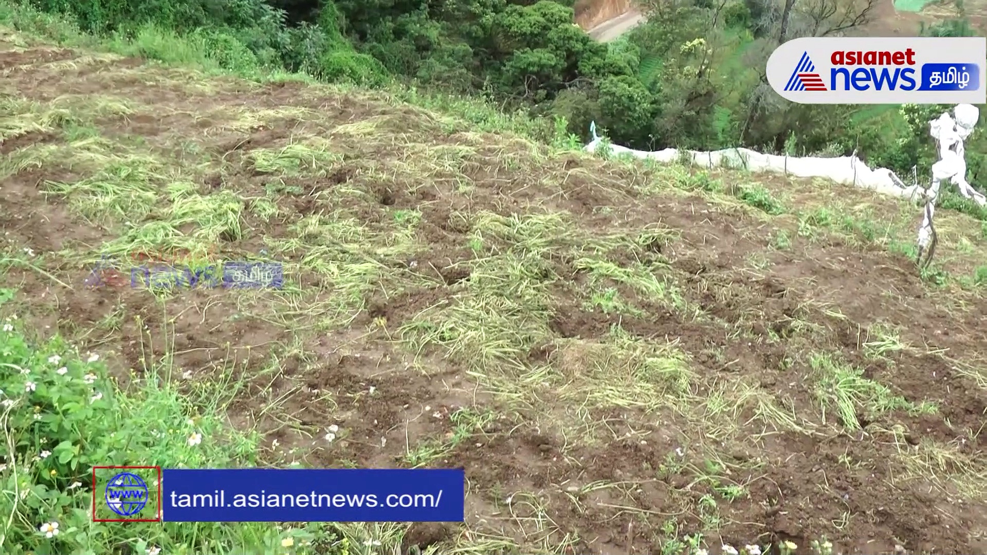 Video : உதகையில் 12 ஏக்கர் ஆக்கிரமிப்பு நிலம் மீட்பு!